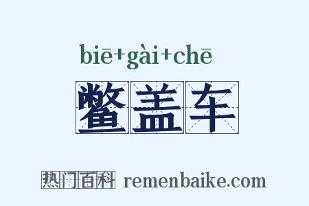 鳖盖车是什么意思的图片